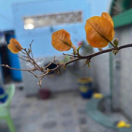 Willa Casa Morisca Sidi Ifni Zewnętrze zdjęcie